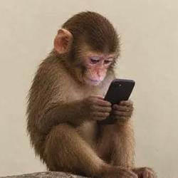 fone