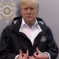 Trump / SOL