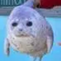 Mochimochi