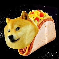 tacodoge