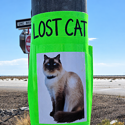 find me