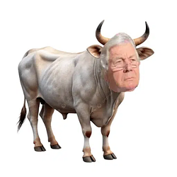 RICHARD logo