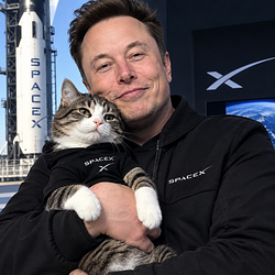 ElonCat