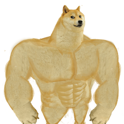 swoge