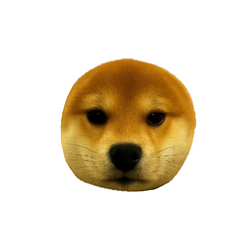 coinu / SOL
