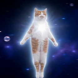 MOONIMALS