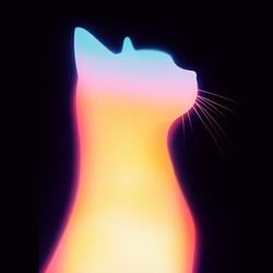 cat(aura) / BNB
