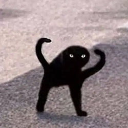 Voidcat