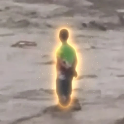 Man / SOL