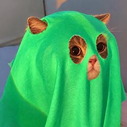 GREEN CAT