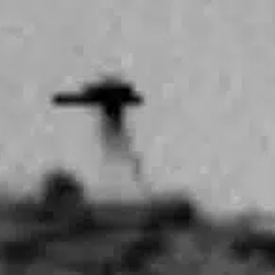 SOL3924