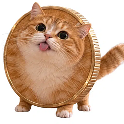 COINCAT / SOL