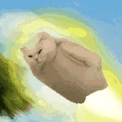 turbocat / SOL
