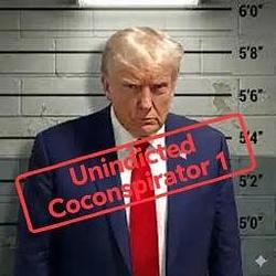 TRUMP / SOL