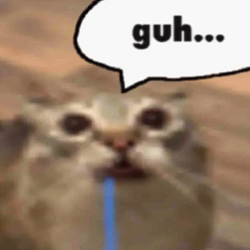 poo