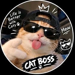 CATBOSS