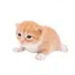 Gary
