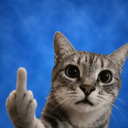 fuckcat
