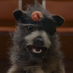 Chongus