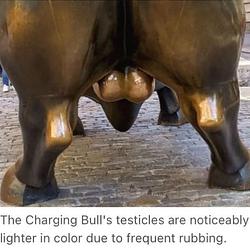 BULLBALLS / SOL