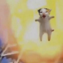 BoomCat