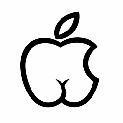 ASSLE
