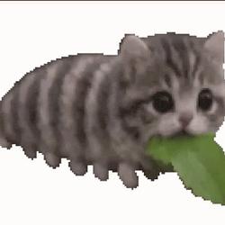 caterpillar
