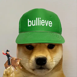 BULLIEVE / SOL