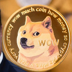 DOGGYCOIN / SOL