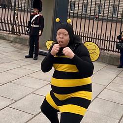 Binobee