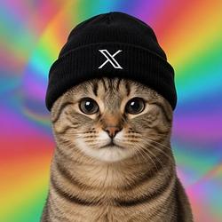 XCAT / SOL