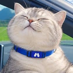 MEXCAT