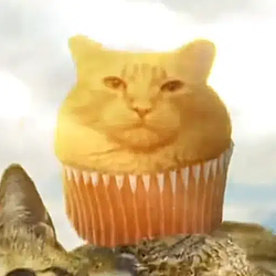 MuffinCat / SOL