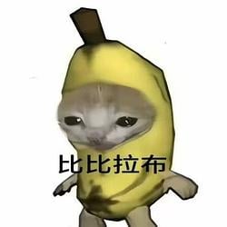 比比拉布 / WETH 81%