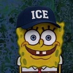 ICEBOB
