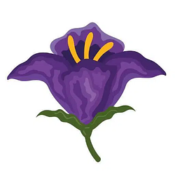 Nightshade