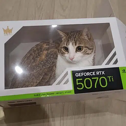 Gato Purring Unit