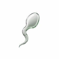SPERM / WETH