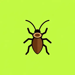 cockroach