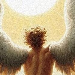 Icarus / SOL