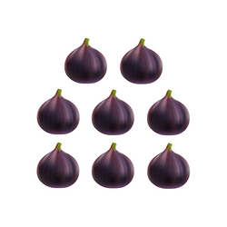 8FIGS
