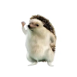 Rizo