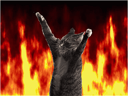 HELLCAT