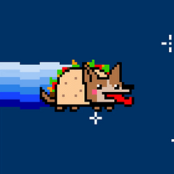 NyanDog / SOL