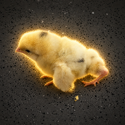MUTANT