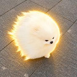 FLUFFY