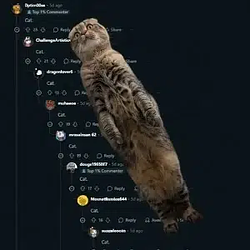 𝘊𝘢𝘵