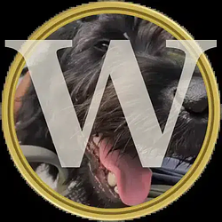 WAYLON