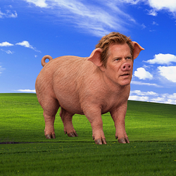 Bacon