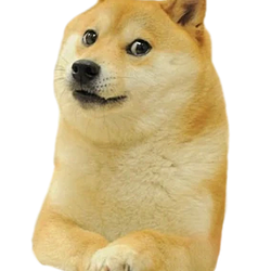 DOGE